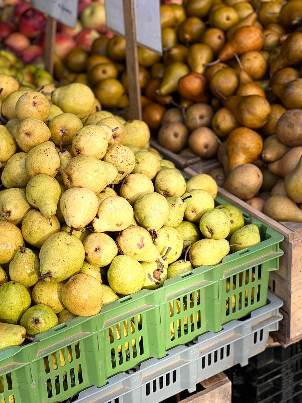 Close up of Various Pears at a jigsaw puzzle