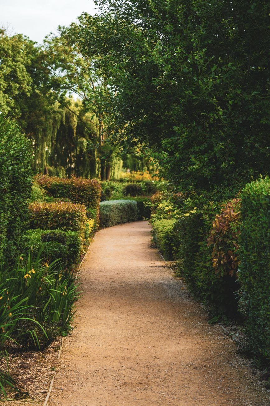 A Peaceful Garden Path Surrounded by Vibrant jigsaw puzzle