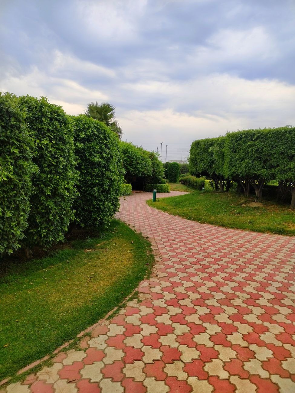 A Peaceful Outdoor Walkway Lined with Lush jigsaw puzzle