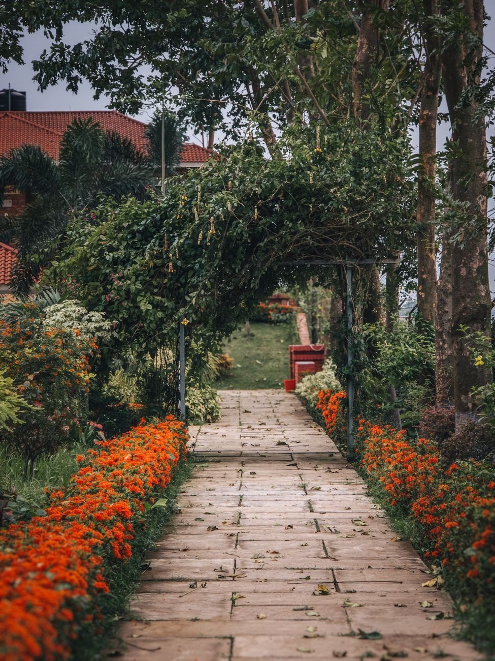 A Picturesque Garden Pathway Lined with Vibrant jigsaw puzzle
