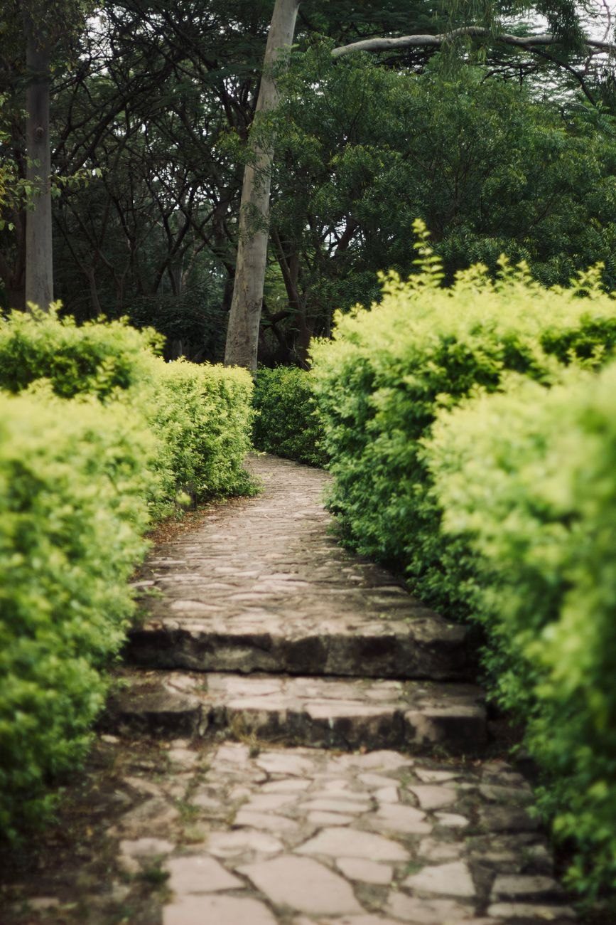 A Picturesque Stone Pathway Bordered by Lush jigsaw puzzle