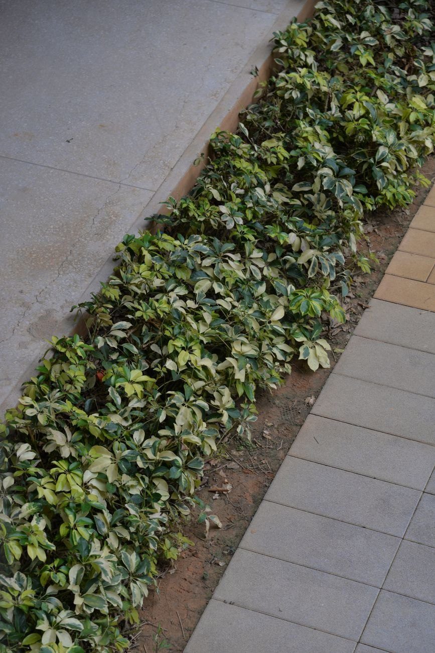 Vertical View of a City Sidewalk Bordered jigsaw puzzle