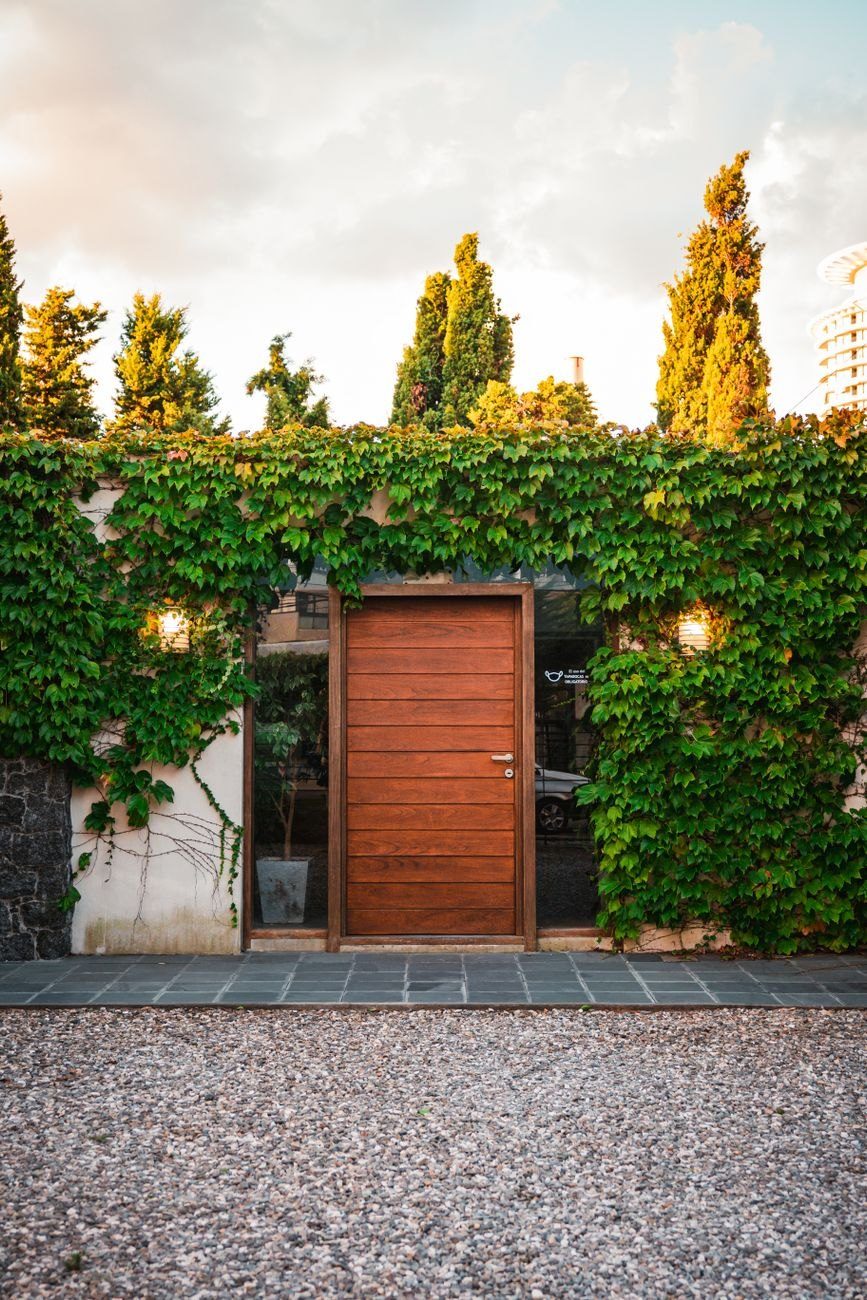 Wooden Door Surrounded by Lush Ivy on jigsaw puzzle