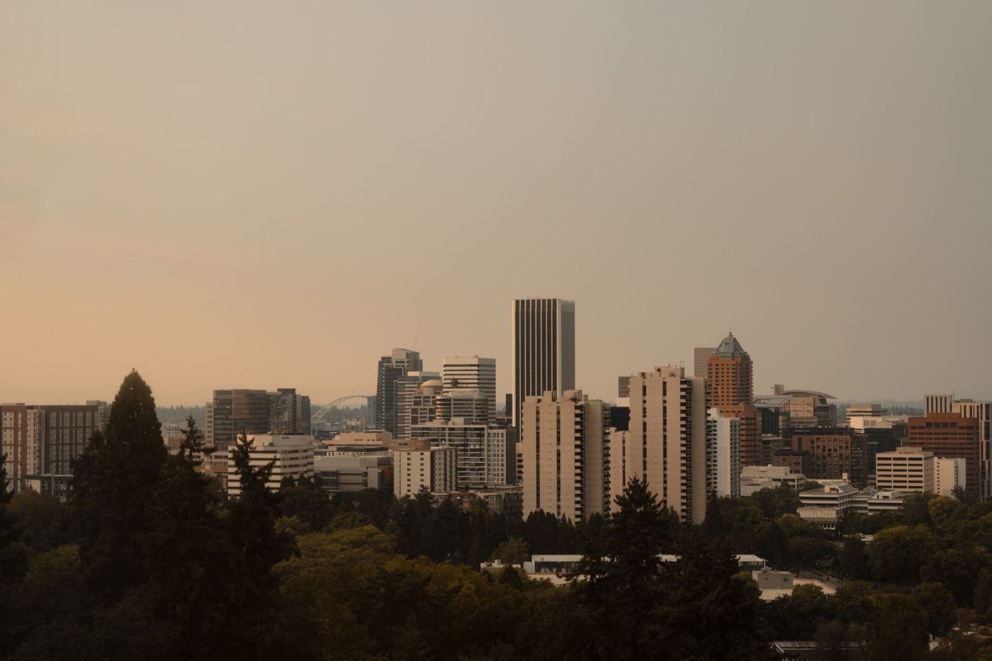 Captivating Portland Skyline Framed by Trees at jigsaw puzzle